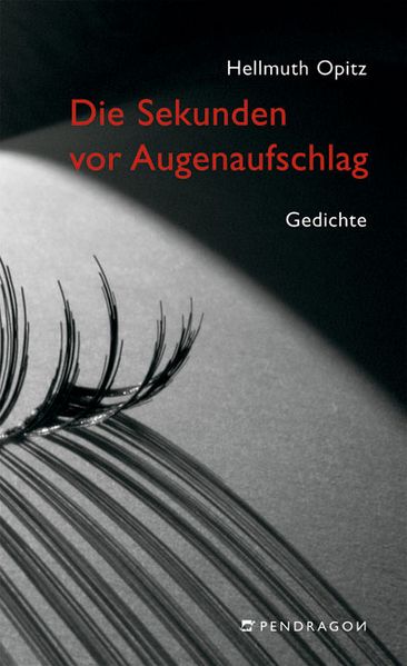 Cover von Die Sekunden vor Augenaufschlag
