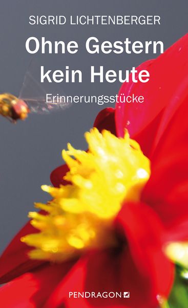 Cover von Ohne Gestern kein Heute