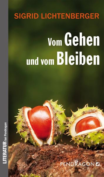 Cover von Vom Gehen und vom Bleiben