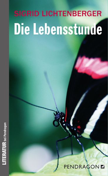 Cover von Die Lebensstunde