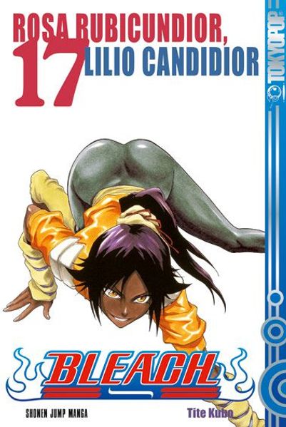 Cover von Bleach 17