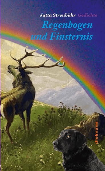 Cover von Regenbogen und Finsternis