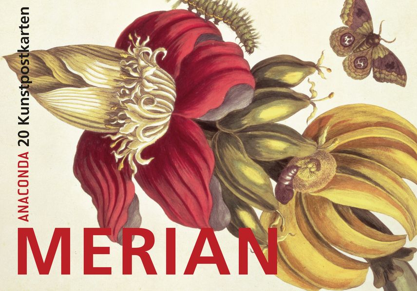 Cover von Postkartenbuch Maria Sibylla Merian