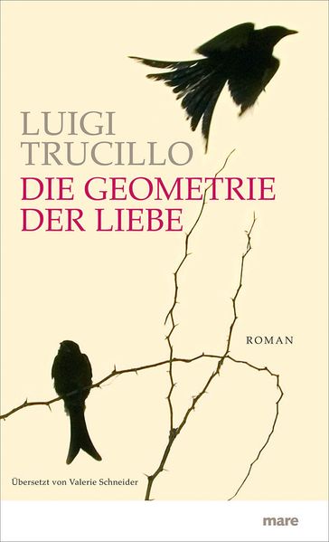 Cover von Die Geometrie der Liebe