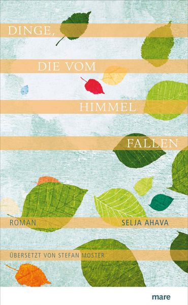 Cover von Dinge, die vom Himmel fallen