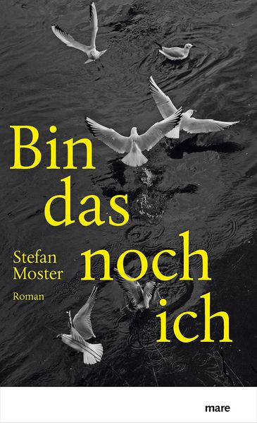 Cover von Bin das noch ich