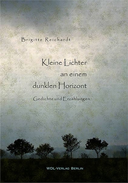 Cover von Kleine Lichter am Horizont