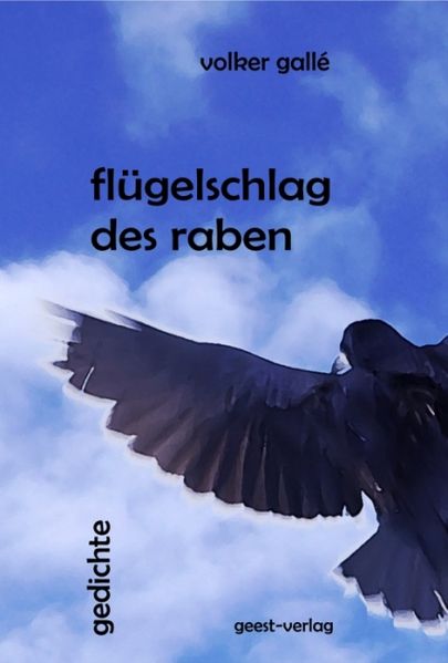 Cover von flügelschlag des raben