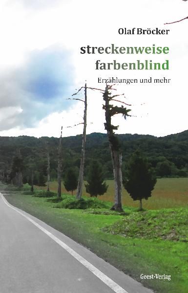 Cover von streckenweise farbenblind