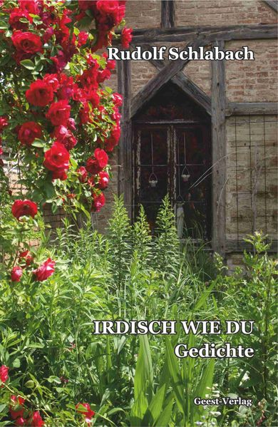 Cover von Irdisch wie du