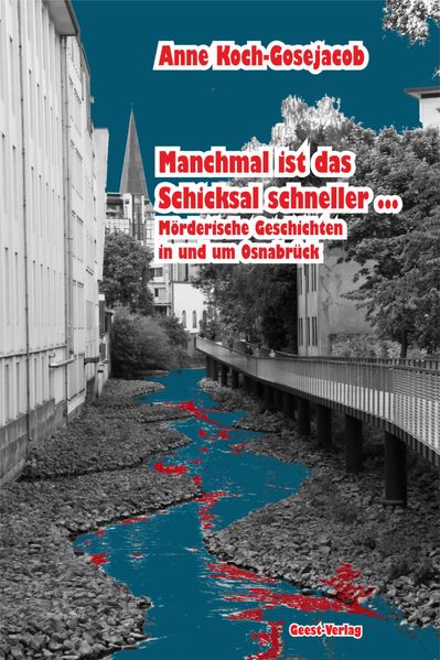 Cover von Manchmal ist das Schicksal schneller …