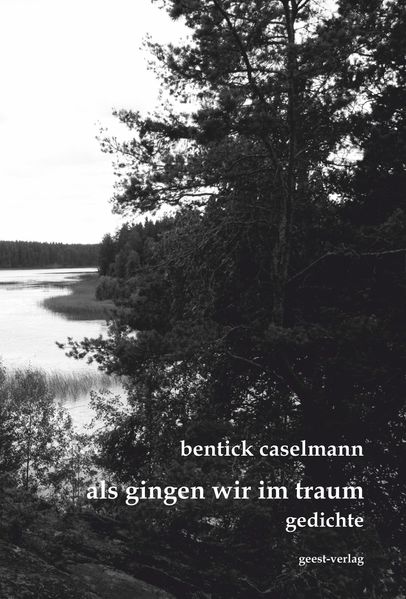 Cover von als gingen wir im traum