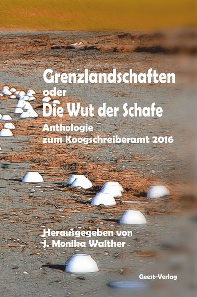 Cover von Grenzlandschaften