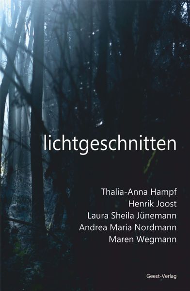 Cover von lichtgeschnitten