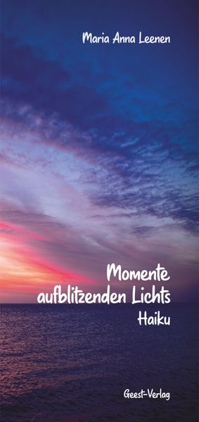 Cover von Momente aufblitzenden Lichts