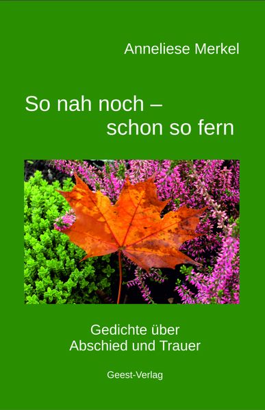 Cover von So nah noch – schon so fern