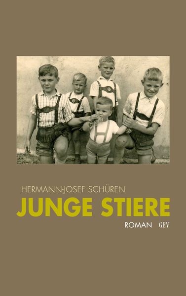 Cover von Junge Stiere