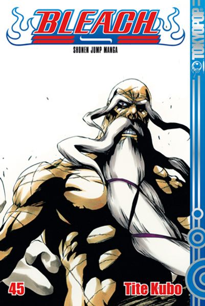 Cover von Bleach 45