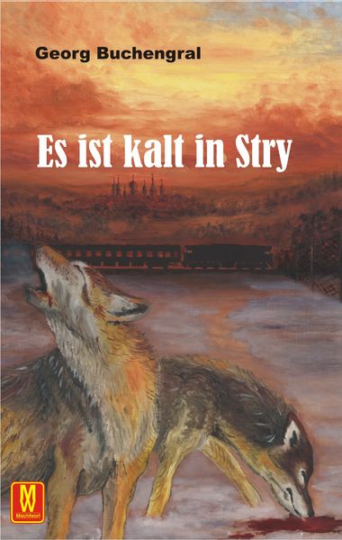 Cover von Es ist kalt in Stry