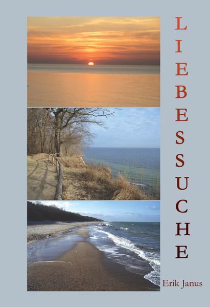 Cover von Liebessuche