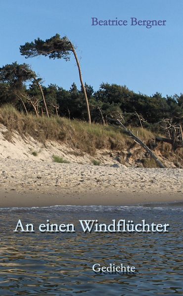 Cover von An einen Windflüchter