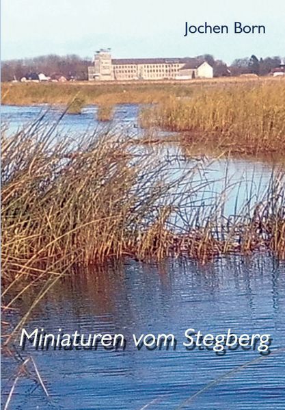 Cover von Miniaturen vom Stegberg
