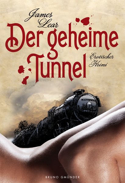 Cover von Der geheime Tunnel
