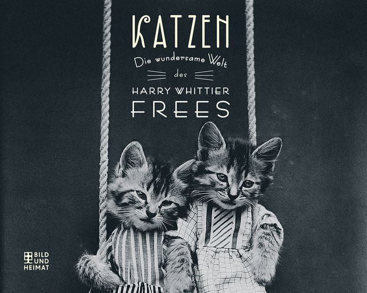 Cover von KATZEN