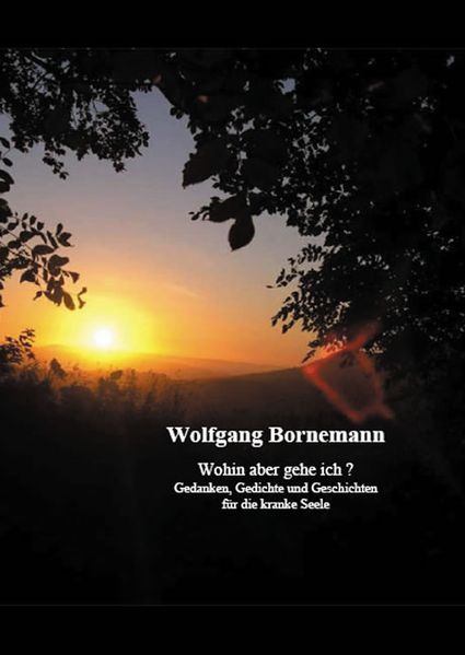 Cover von Wohin aber gehe ich?