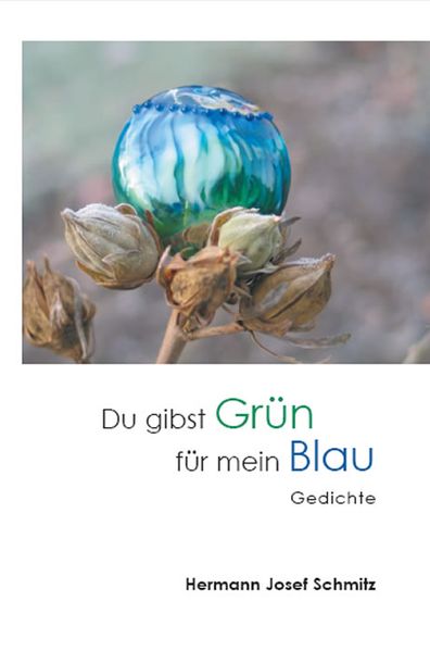 Cover von Du gibst Grün für mein Blau