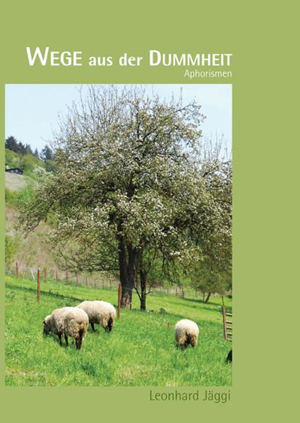Cover von Wege aus der Dummheit