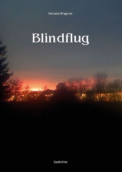 Cover von Blindflug