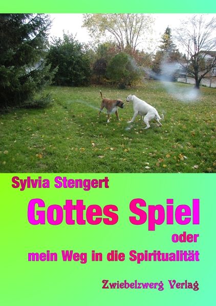 Cover von Gottes Spiel oder mein Weg in die Spiritualität