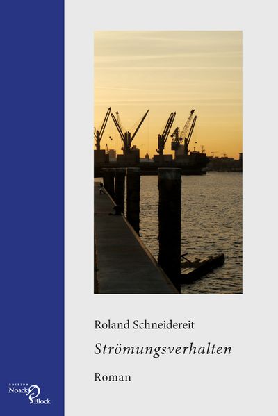 Cover von Strömungsverhalten