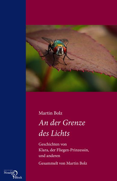Cover von An der Grenze des Lichts