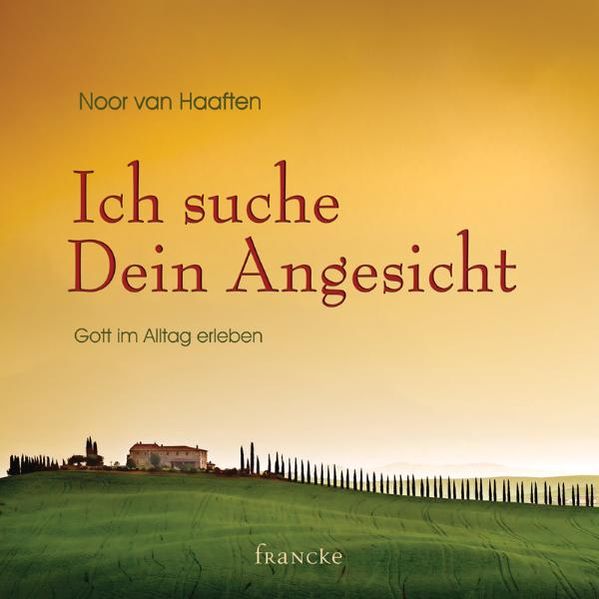 Cover von Ich suche Dein Angesicht