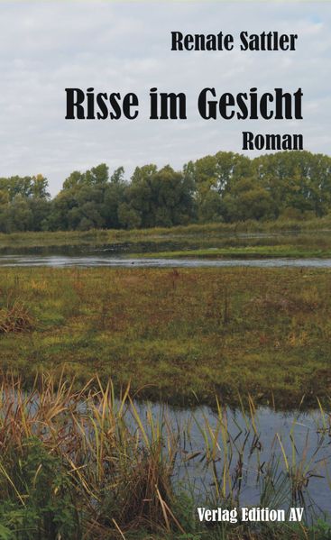 Cover von Risse im Gesicht
