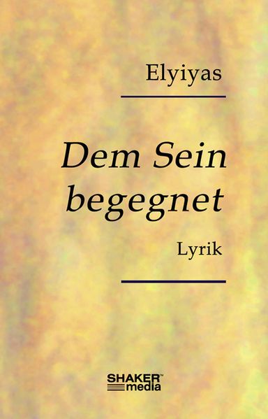 Cover von Dem Sein begegnet