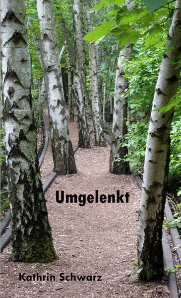 Cover von Umgelenkt