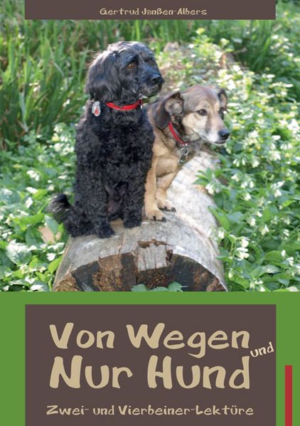 Cover von Von Wegen und Nur Hund