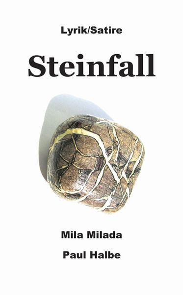 Cover von Steinfall