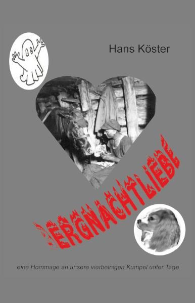 Cover von Bergnachtliebe