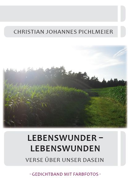Cover von Lebenswunder – Lebenswunden