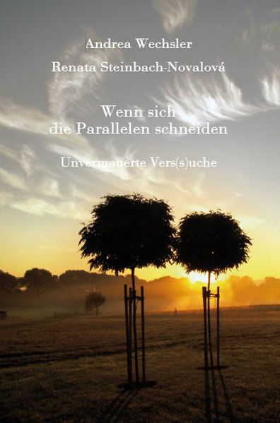 Cover von Wenn sich die Parallelen schneiden