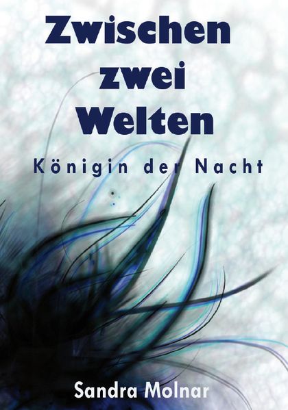 Cover von Zwischen zwei Welten