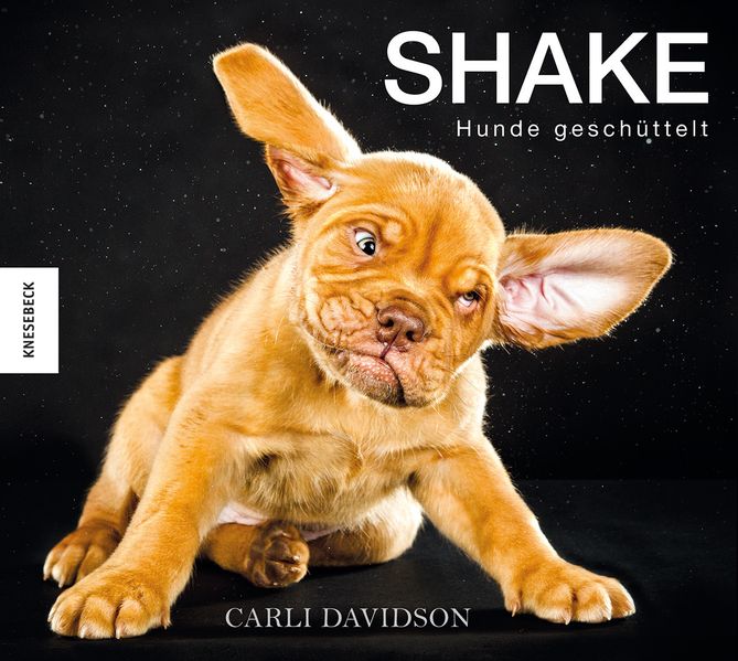 Cover von Shake – Hunde geschüttelt