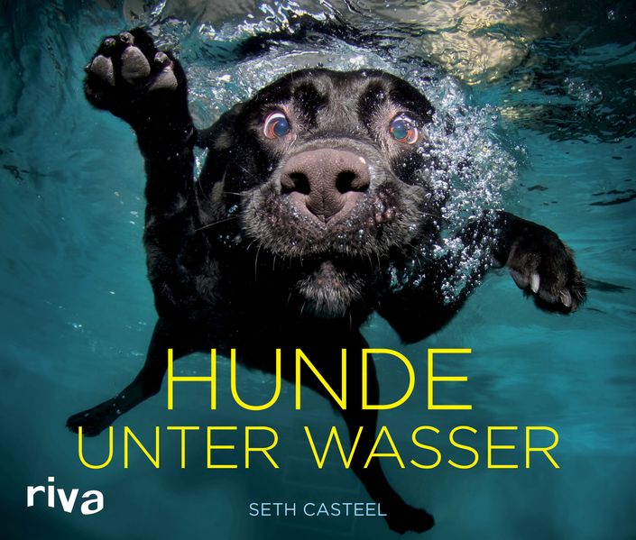Cover von Hunde unter Wasser