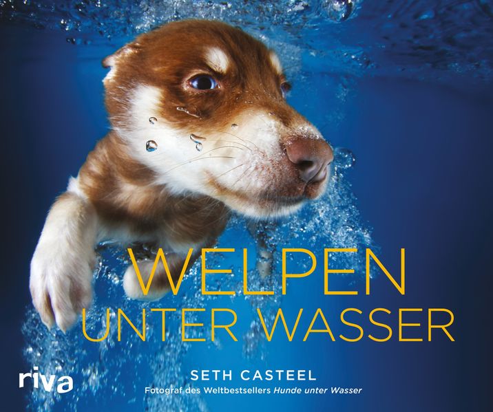 Cover von Welpen unter Wasser