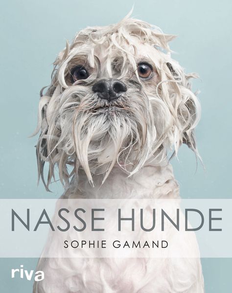 Cover von Nasse Hunde
