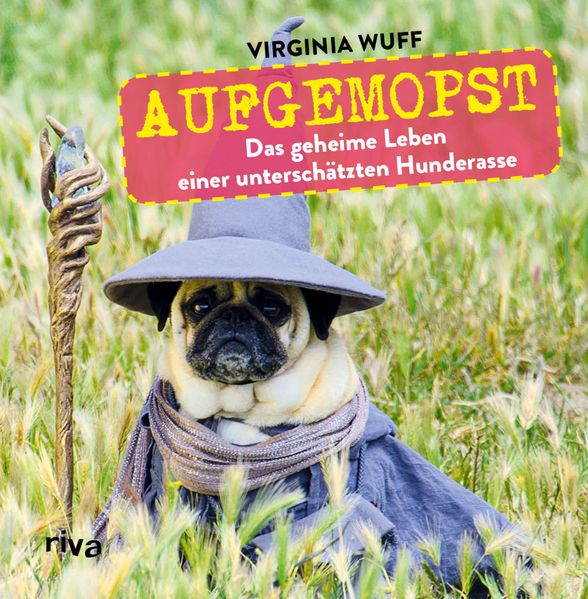 Cover von Aufgemopst